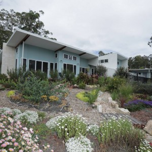 Gold Coast acreage garden | PTMA Architecture