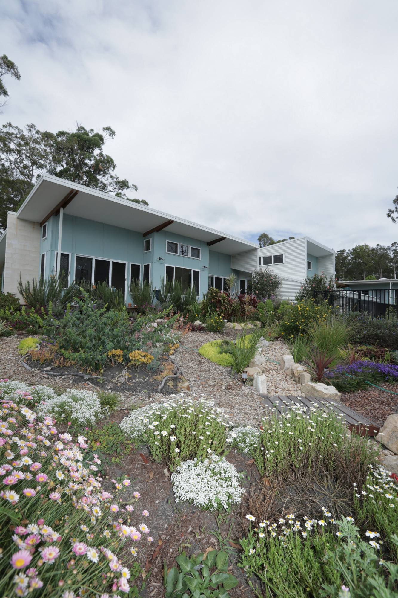 Gold Coast acreage garden | PTMA Architecture